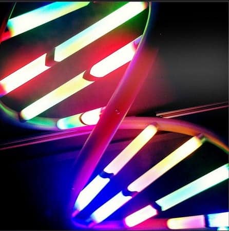 Doctors hope to one day develop Gene therapy for hair loss Doctors hope to one day develop Gene therapy for hair loss
