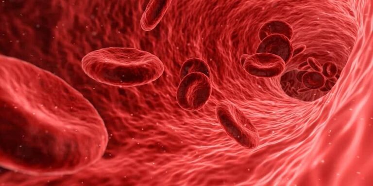 In treatments for platelet rich plasma for hair loss, the patient's own blood is separated into three components to obtain the PRP needed In treatments for platelet rich plasma for hair loss, the patient's own blood is separated into three components to obtain the PRP needed