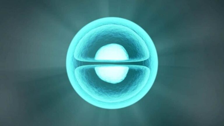 Treatment for melanoma skin cancer aims to kill malignant cells while preserving normal cells.