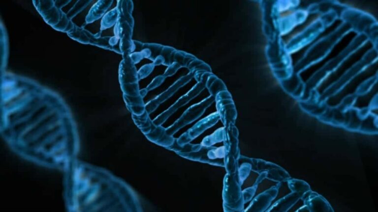 Skin cancer treatment addresses malignant cells developed from genetic mutations in DNA code.