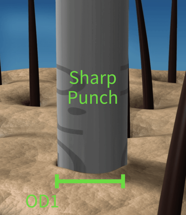 A small, sharp punch makes the initial incision around the graft.