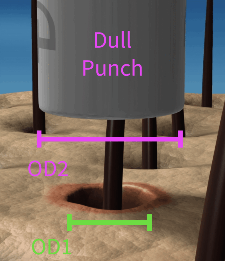 After the first punch is withdrawn, a second, larger, duller punch is used to free the graft completely.