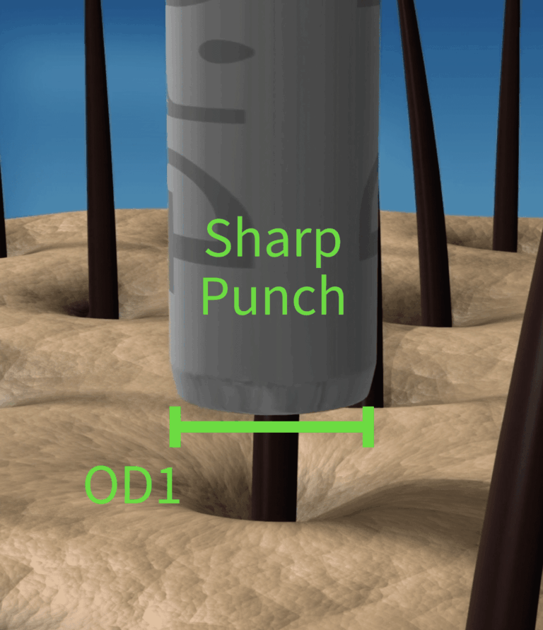 In a robotic FUE hair transplant utilizing a two-punch system, an initial, sharper punch makes the first excision.
