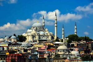 ISHRS Live-Training Workshop - Istanbul, Turkey*
