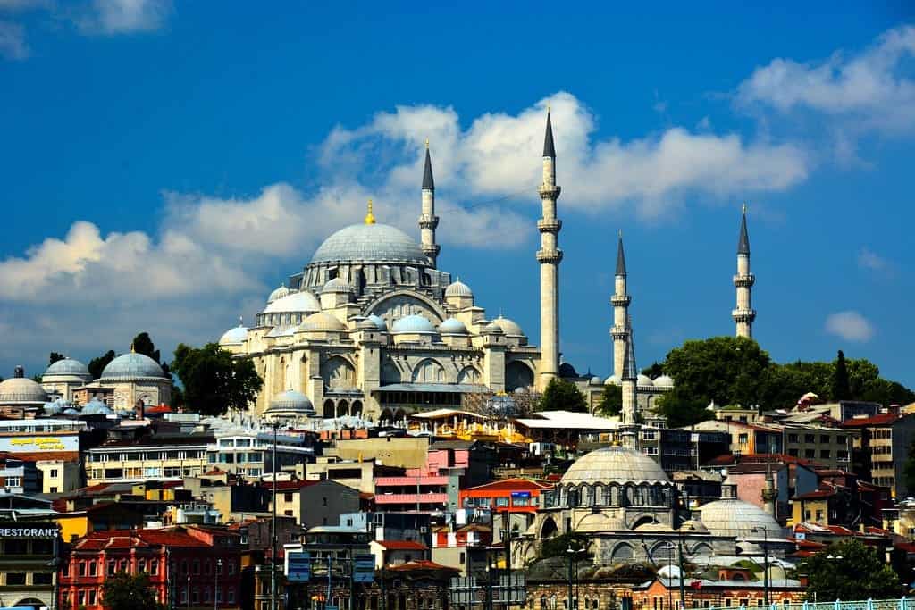 ISHRS Live-Training Workshop - Istanbul, Turkey*