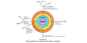 An illustration of PIILIF as a shared precursor condition to Primary Cicatricial Alopecias (PCAs).